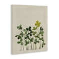 thumbnail image 2 of Stupell Industries French Country Hidden Gems Botanicals Canvas Art, 24 x 30, by Grace Popp, 2 of 8