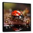 thumbnail image 2 of Designart "The Vibrant Reflections Of Lively Ladybugs" Ladybug Floater Framed Canvas Prints, 2 of 5