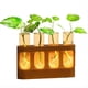 thumbnail image 1 of Estación de Propagación de Plantas con Luces LED Ajustables de 9 Velocidades, Terrario con Soporte de Madera y 4 Tubos de Ensayo., 1 of 5