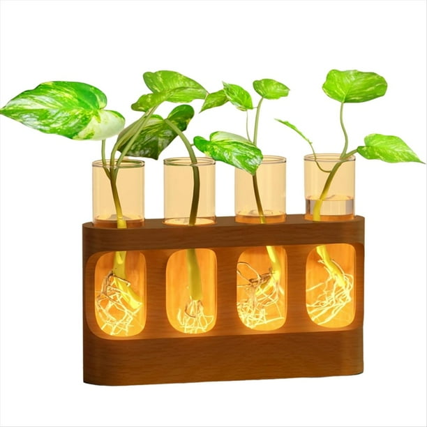 Estación de Propagación de Plantas con Luces LED Ajustables de 9 Velocidades, Terrario con Soporte de Madera y 4 Tubos de Ensayo.