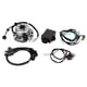 thumbnail image 2 of Kit De Arnés De Cableado Del Regulador Del Estator Del Magneto De La Bicicleta De La Suciedad Apto Para Lifan W150Cc matsuzay VI002829-00, 2 of 7