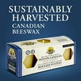 thumbnail image 2 of Dutchman's Gold Cire d'Abeille Votives - Ultrafiltrée, Cire d'Abeille Canadienne Pure - Lot de 3, 2 of 8