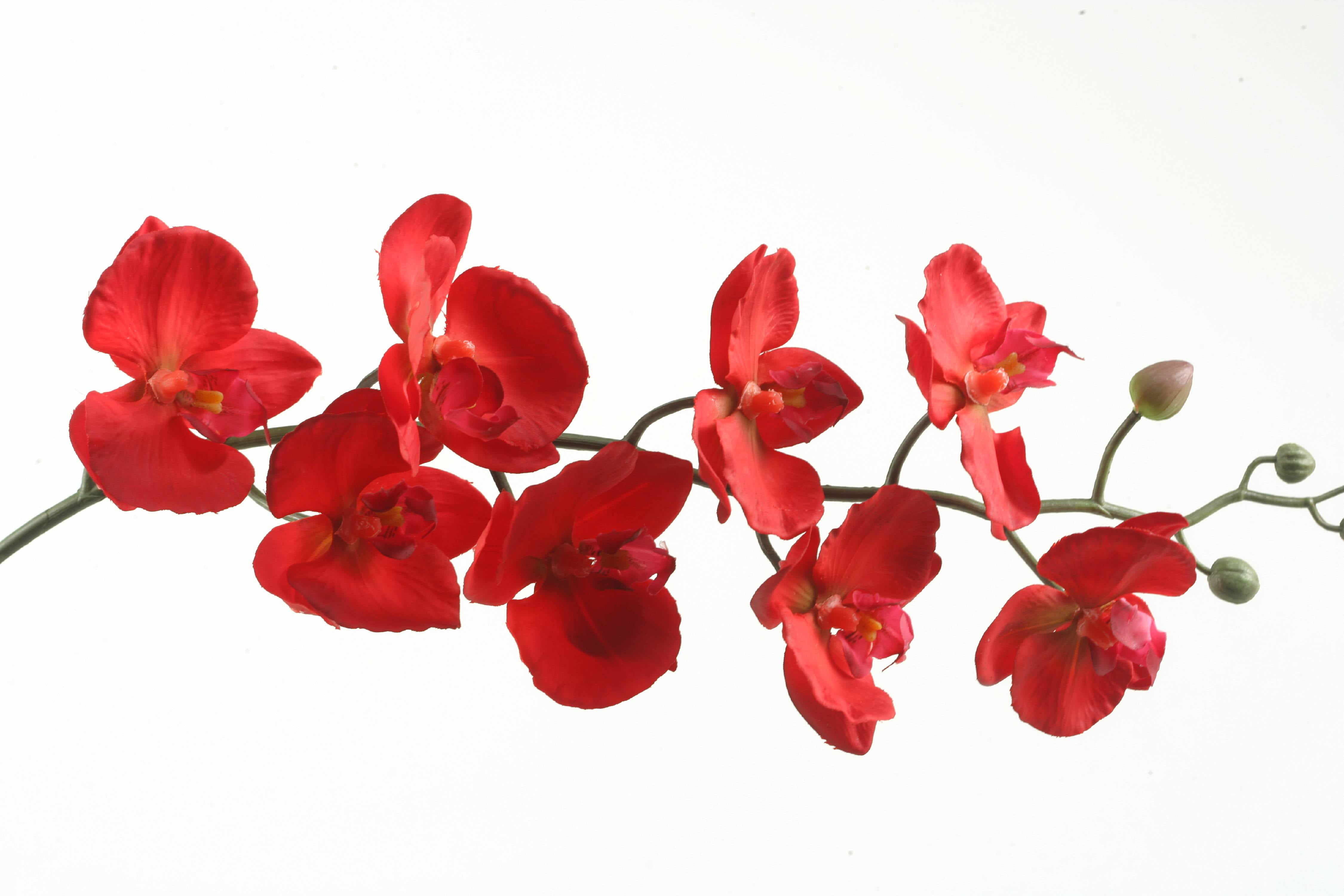 D&W Silks Deep Red Phael Orchid Stem Set of 3