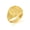 Yellow, variant on 14K Yellow Gold Egyptian Sphinx Ankh Cross Signet Ring (Size 6)