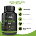 thumbnail image 5 of Fat Burner Dose Am Day-Time By Health Dose, 120 Vegetarian Capsules, Green Tea, L-Carnitine Tartrate, Uva Ursi, Garcinia Cambogia, Apple Cider Vinegar - More, Weight Loss for Men & Women Supplement., 5 of 13