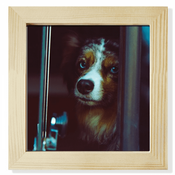 dog pet animal lly picture Square Picture Frame Wall Tabletop Display