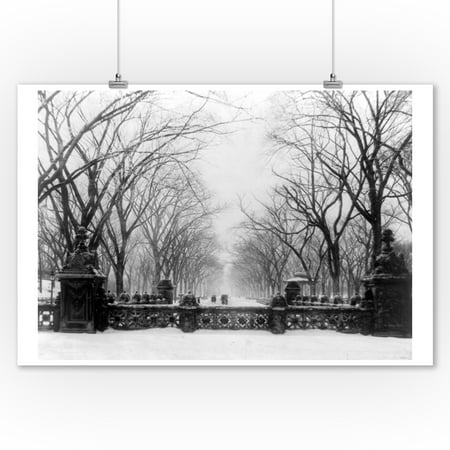 Trees in Central Park New York City - Vintage Photograph (9x12 Art Print, Wall Decor Travel (Best Photos Of New York)