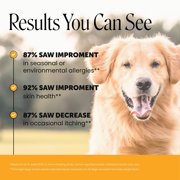 Pet Honesty Allergy Support Peanut Butter Flavored Colostrum & Turmeric Chews, Itchy Skin, Immune & Allergy Relief Supplement for Dogs, 90 count