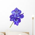 thumbnail image 1 of Delphinium Wall Mural Decal by Wallmonkeys Vinyl Peel and Stick Graphic (18 in H x 13 in W), 1 of 4