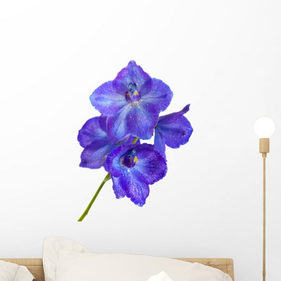 Delphinium Wall Mural Decal by Wallmonkeys Vinyl Peel and Stick Graphic (18 in H x 13 in W)