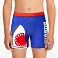 thumbnail image 4 of Bañador infantil con cintura elástica y estampado, tallas medianas a grandes, estilo deportivo, corte corto, parte delantera plana, conjunto de bañador para niño, poliéster., 4 of 6