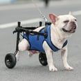 thumbnail image 6 of Duuclume Dog Wheelchairfor Dogs Back Legs, Adjustable Pets Cart with Wheels Mobility Aids for Disabled Hind Legs M, 6 of 7
