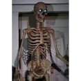 thumbnail image 2 of Seasonal Visions Animated Towering Skeleton with Projection Eyes Halloween Decoration - 8 ft, 2 of 3