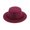 C, variant on Vintage Woolen Top Hat, Winter Solid Color Fedora with Hidden Adjustment, Unisex F