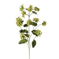 Floral Ladies Mantle Ste