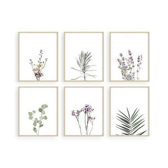 Haus and Hues Floral Prints and Plant Posters - Set of 6 Botanical Prints and Floral Wall Art | Plant Prints Flower Art