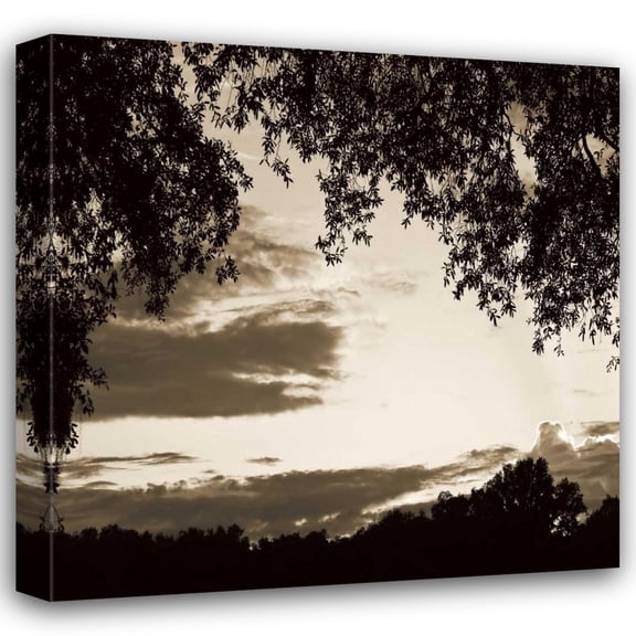 Alan Hausenflock 20x20 Gallery Wrapped Canvas Wall Art Titled - Sunset Trees Sepia Sq II