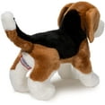 thumbnail image 3 of Bernie Beagle, 3 of 5