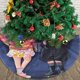 thumbnail image 3 of Falda para árbol de Navidad de miércoles, suave y divertida, decoración navideña de granja con cuello para árbol de Navidad de 30", 3 of 4