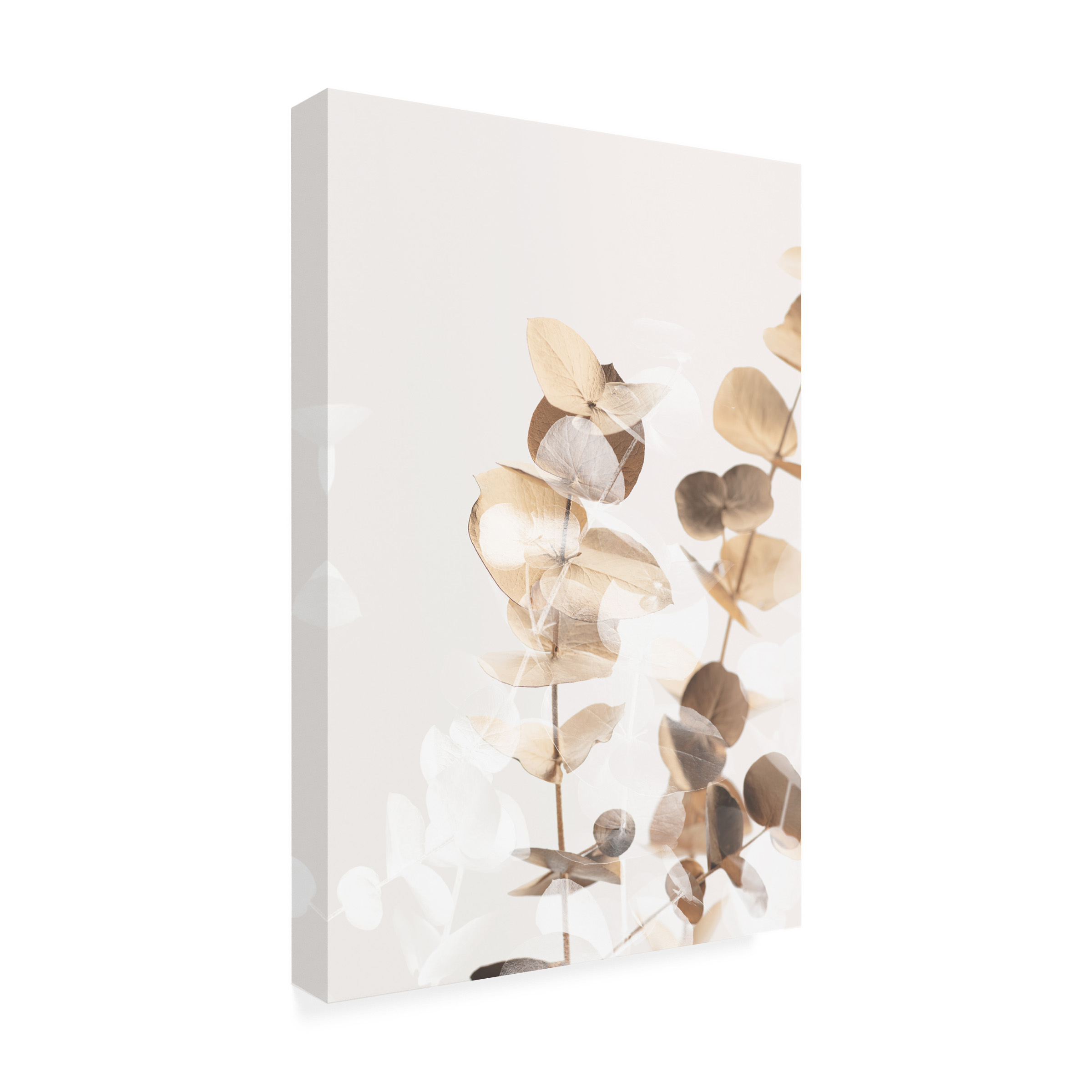 1x Studio III 'Eucalyptus Creative Gold 01' Canvas Art