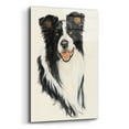 thumbnail image 2 of Epic Art 'Border Collie' by Barbara Keith, Acrylic Glass Wall Art, 16"x24", 2 of 8