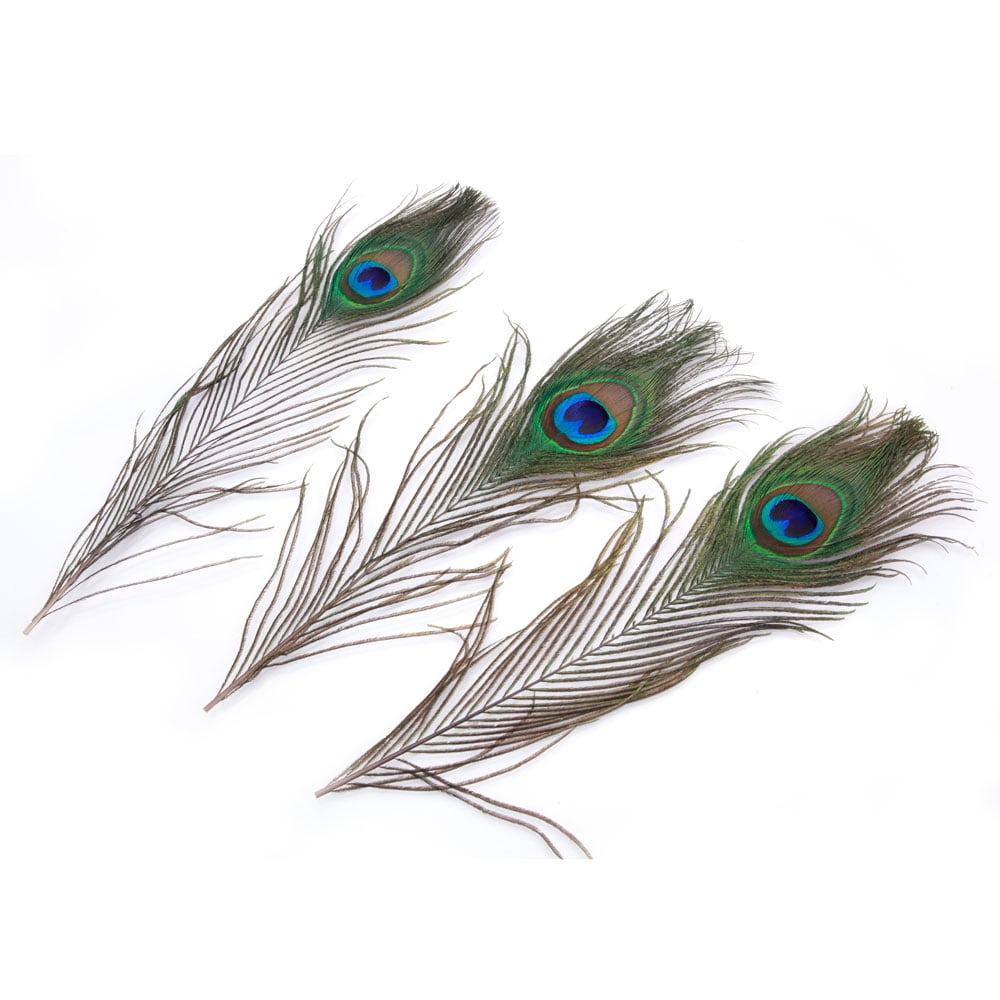 Clearance 10 12inch White Peacock Feather For Home Decor Pack Of 100 Natural Feathers For Diy Craft Wedding Home Party Decorations Great Gift For Girls Bedroom And Dorm Room Home Decor S Clearance 10 12inch White Peacock Feather For Home Decor Pack Of 100 Natural Feathers For Diy Craft Wedding Home Party Decorations Great Gift For Girls Bedroom And Dorm Room Home Decor S