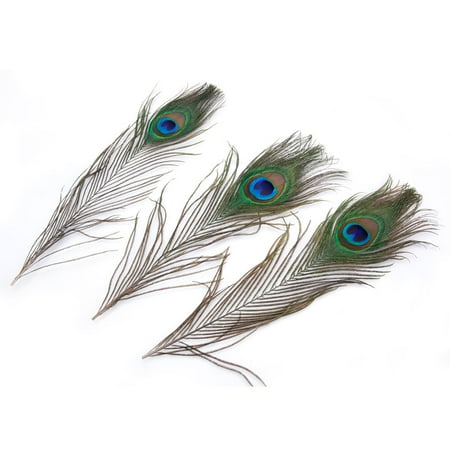 Clearance Pack Of 100 10 12 Peacock Feathers Segmart Natural