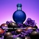 thumbnail image 4 of Perfume Britney Spears Midnight Fantasy Eau de Parfum, 50 ml, 4 of 4