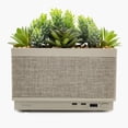 thumbnail image 4 of iHome PowerPlant Charging Station with Bluetooth Speaker, Faux Succulent with USB Charging Station (iPP60), 4 of 4