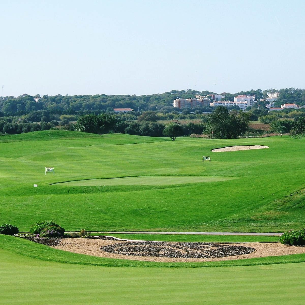 Outsidepride 1 lb. A-List Turf T-1 Coated Creeping Bentgrass Seed for Putting Greens, Tees, & Fairways