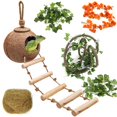 thumbnail image 1 of Accesorios para tanques HERCOCCI Leopard Gecko con cáscara de coco, 1 of 7