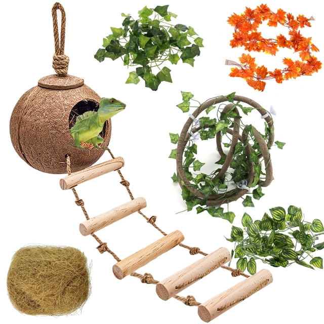 Accesorios para tanques HERCOCCI Leopard Gecko con cáscara de coco