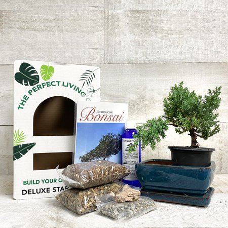 Ultimate Bonsai Starter Kit | Walmart Canada Ultimate Bonsai Starter Kit | Walmart Canada
