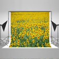 thumbnail image 1 of Fondo de fotografía de 150x220cm ABPHQTO flores de girasol, 1 of 3