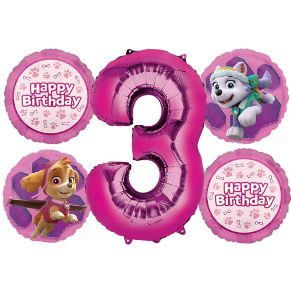 Skye and Everest 3rd Birthday Party Supplies Girl Paw Pups on Patrol Balloon Bouquet Decorations 5ct