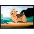 thumbnail image 1 of Carolines Treasures 7519MAT Tapis Intérieur Extérieur 18 x 27 Po. Norwich Terrier, 1 of 4