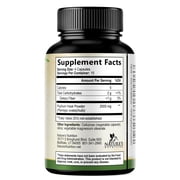 Psyllium Husk Powder 2000mg Per Serving Supplement - Extra Strength Psyllium Fiber Powder - Natural Soluble Fiber Pills, Supports Digestion, Colon Health & Regularity, Bottled in USA - 60 Capsules