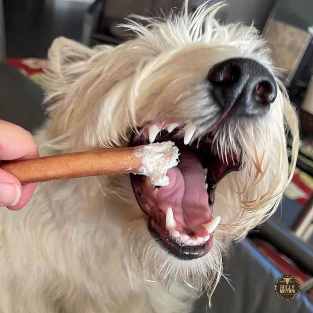 Bully Bunches Premium 6 inch Standard Bully Stick - 10 pack