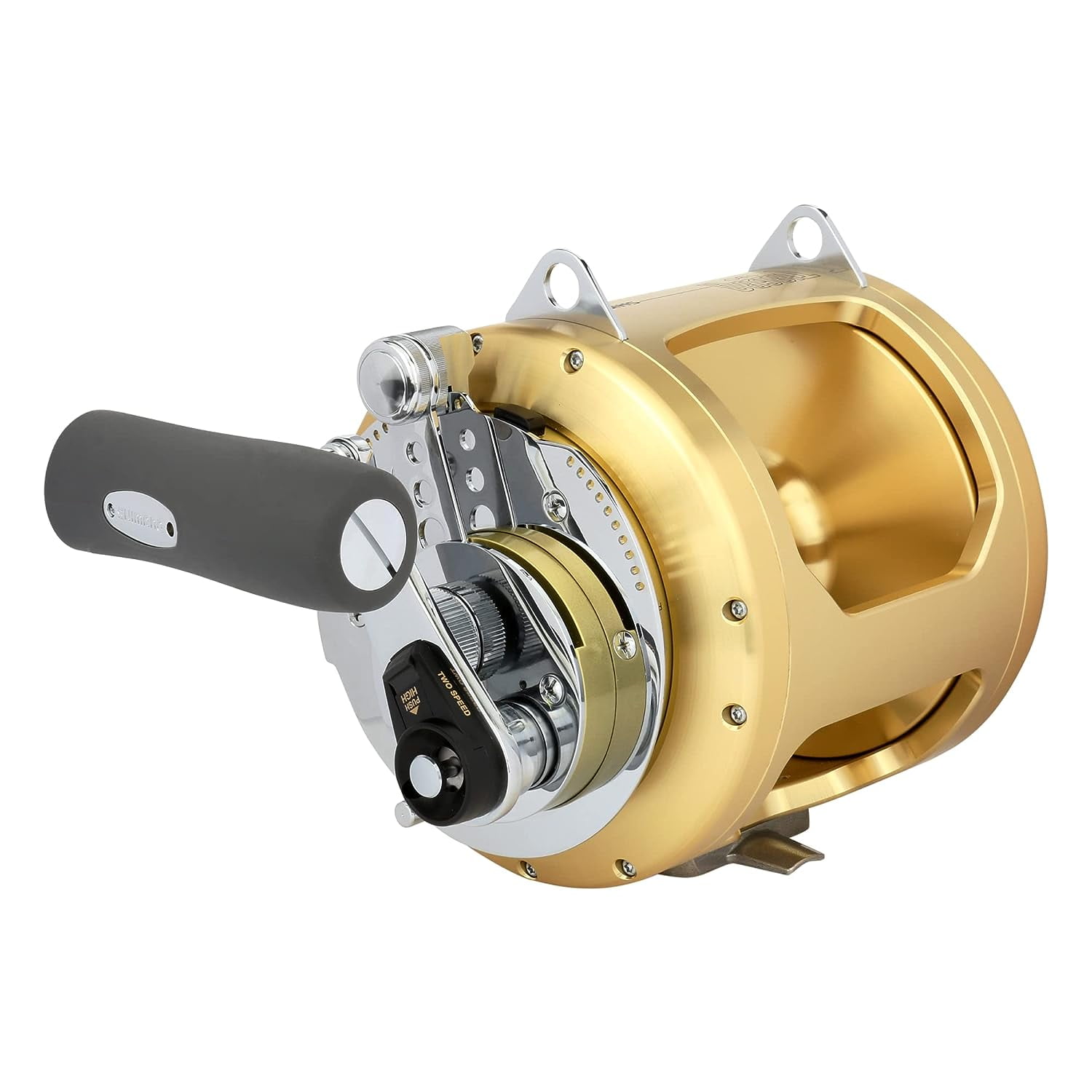 Shimano Saltwater Tiagra 50 A Long Range 2SPD Fishing Reel