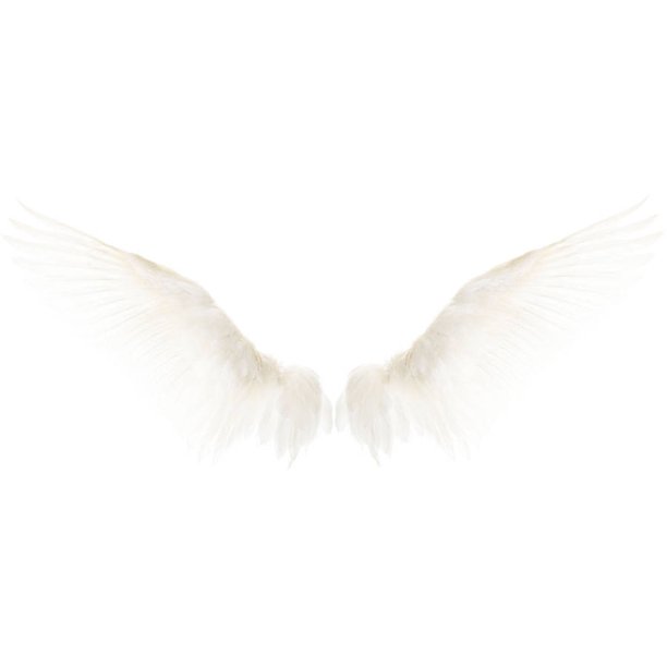 Marmont Hill White Wings Canvas Wall Art Walmart Com Walmart Com