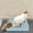 Blue, variant on Leakproof Home Dog Urine Basin Dog Toilet