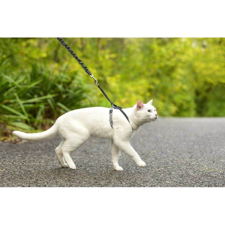 PetSafe Come With Me Kitty Harness and Leash for Cats Adjustable