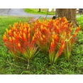 thumbnail image 5 of Artificial Plants Outdoor, 20 Pcs Fake Mums Artificial Fall Flowers UV Resistant Outdoor Faux Plants, Plastic Faux  Greenery Shrubs for Home Porch Garden Yard, 5 of 8