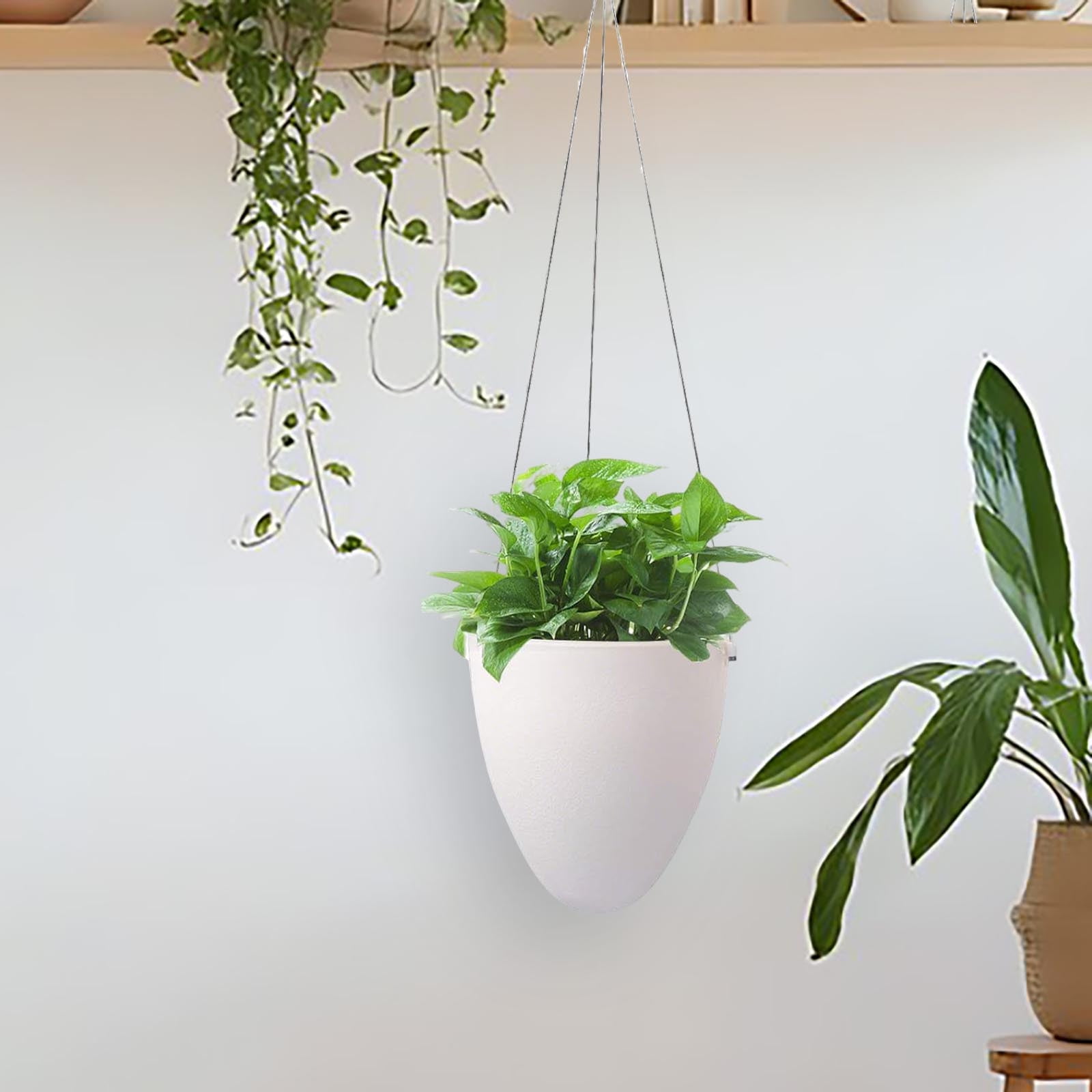 Camnix Self Watering Hanging Planters, Unique Eggshell Shape Indoor Outdoor Hanging Pots for Plants, Modern White Plastic Flower Pots Home Decor Hanging Basket