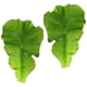 thumbnail image 4 of 2 piezas Modelo de vegetales falsos decores de hojas de vegetales decorativos Modelos de hojas de vegetales artificiales, 4 of 6