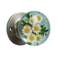 thumbnail image 1 of Door Handle,Nature Style Transparent Animals Doorknob,Retro Round epoxy Flower Door knobs,Creative Artistic Decor for Bedroom, Living Room, Office, 1 of 5