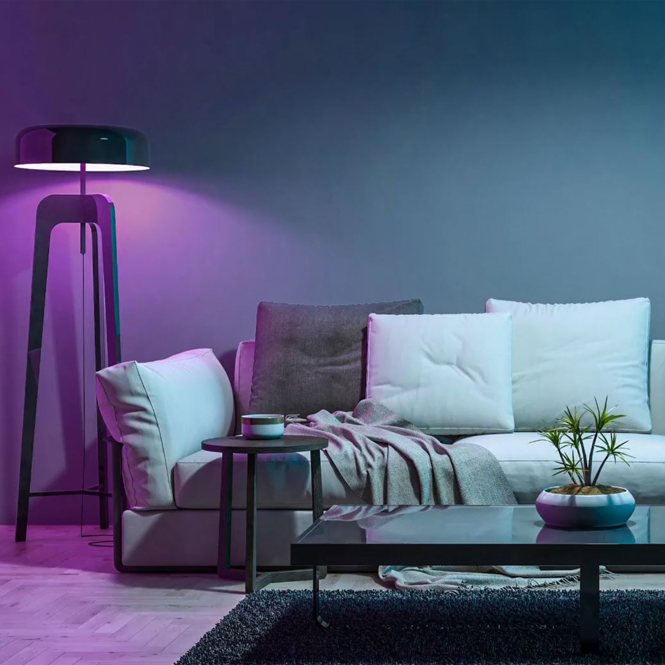 Feit Electric Smart LED Bulb 9W (60W Equiv) 3-Pack photo 5