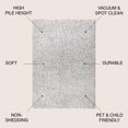 thumbnail image 2 of JONATHAN Y ALASKA SHAG 4 x 6 Area Rug, Aydin Plush - Gray/Ivory, ALA102C-4, 2 of 2