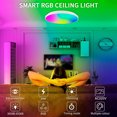 thumbnail image 4 of Luz De Techo De Alto Brillo, Luz De Techo De Control Remoto 24W Para Sala De Estar, 4 of 7
