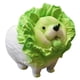 thumbnail image 1 of Bewildely de col de perro vegetal, juguetes, figurita de perro, modelo coleccionable, muñeca para escritorio, mesita de noche, alféizar de ventana Decoración del hogar Bewildely HA036944-00, 1 of 6
